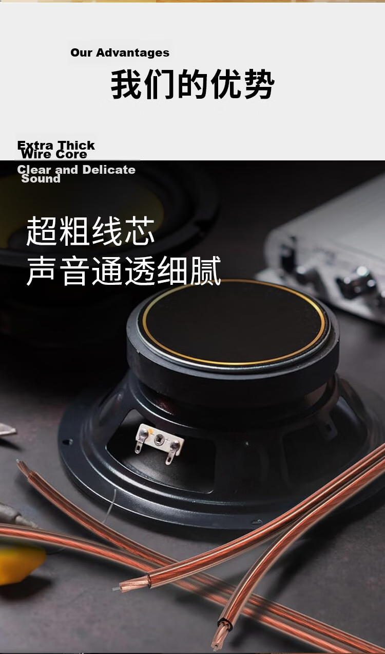 Monster Essentials 14AWG 2-Square 15m High-Purity Oxygen-Free Copper Audio Speaker Cable for HD Home Theater Player 13