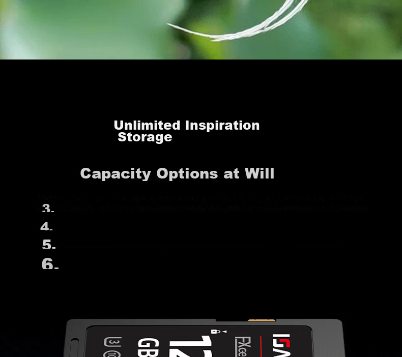 ISANSTAN Camera Memory Card 64GB Compatible with Canon/Sony/Nikon/Panasonic/Fujifilm CCD DSLR 4K Ultra HD U3 High-Speed V30 SD Storage Card 12