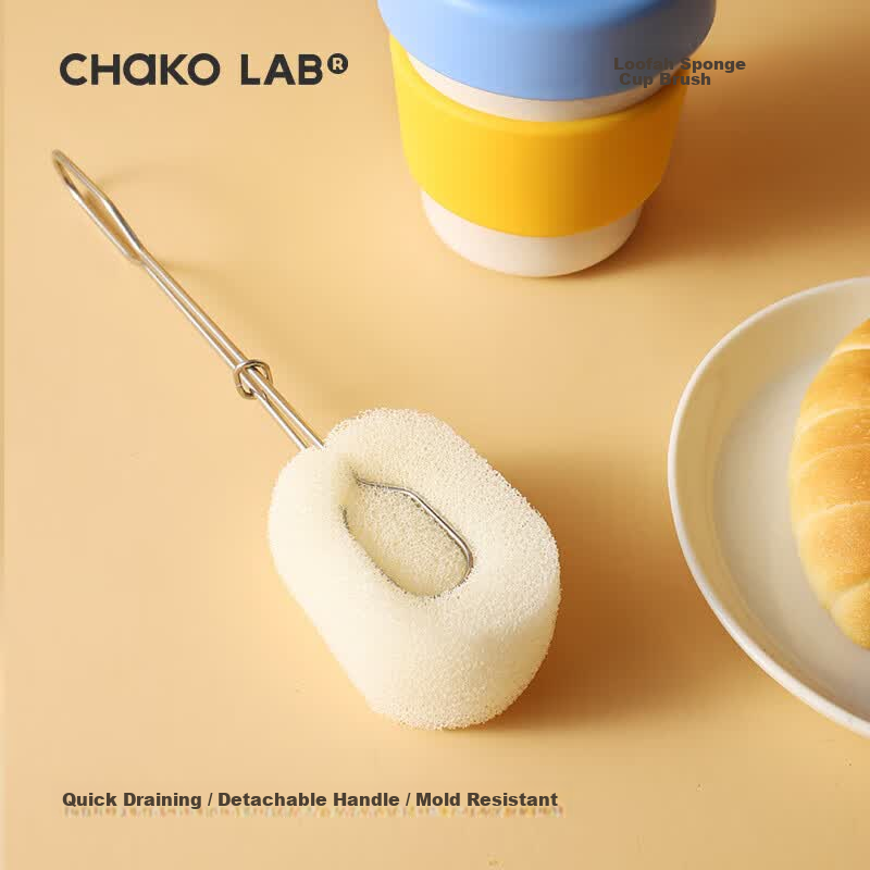 Chakolab Stainless Steel Loofah Brush for Kids Water Cups Quick Dry Mold Resistant Clean Hygienic Detachable
