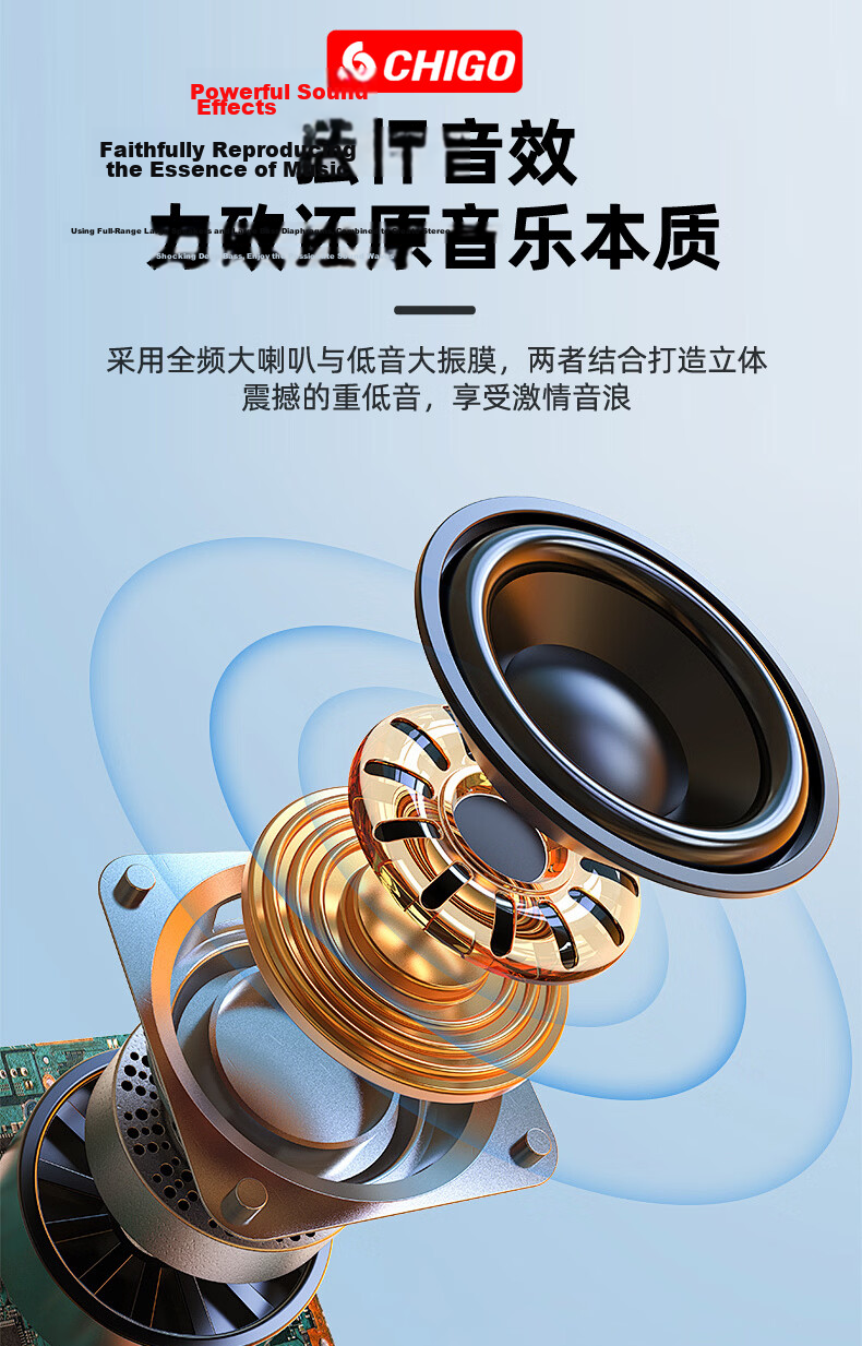 CHIGO Wireless Bluetooth Speaker Portable Handheld Small Home Radio Outdoor Loudspeaker Multifunctional Amplifier for Collection Meeting Teaching Stall Store Promotion 4