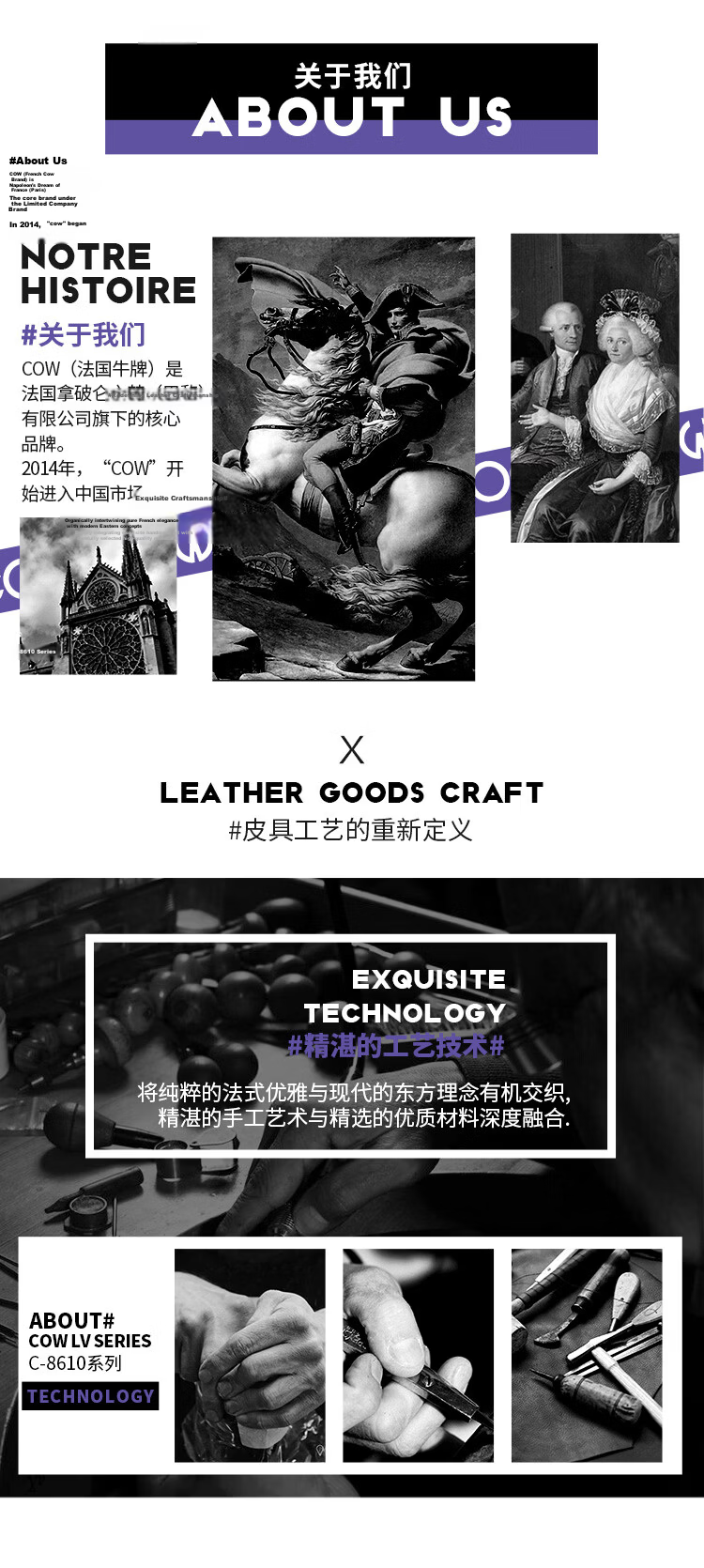 COW Men's Briefcase Genuine Leather Business Handbag First Layer Cowhide Crossbody Fashion Casual Office Bag 8610 Genuine Leather Model 17