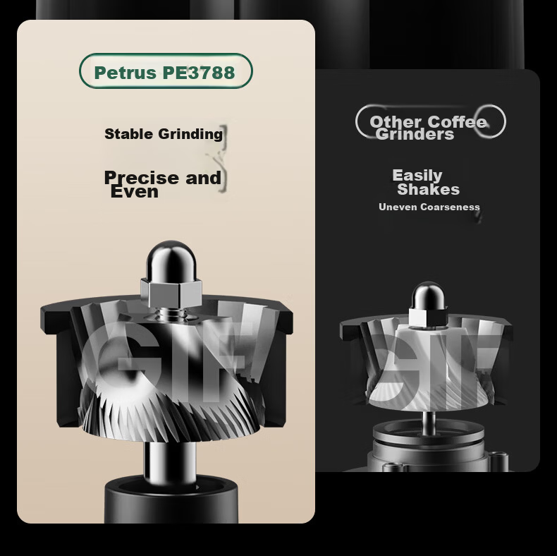 Petrus Fully Automatic Electric Coffee Grinder Home Small Italian Espresso Coffee Mill PE3788 6