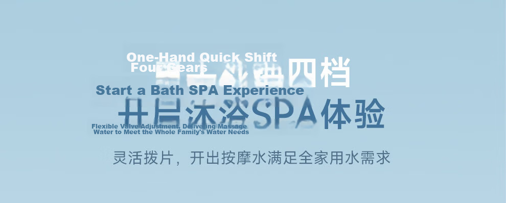 ARROW Multifunction Large Panel Handheld Shower Head High Pressure Single Head AE58140MCP 12
