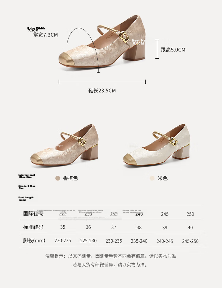 ZHR Women's Flats 2026 Spring New Qipao Style Chunky High Heel Mary Jane Shoes EH306 Champagne Size 38 5