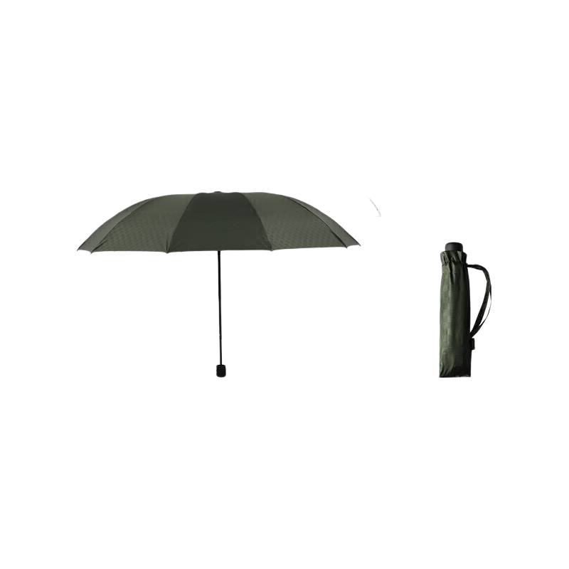 Paradise Umbrella Double Folding Umbrella 10 Ribs Extra Large Classic Portable Newman Green