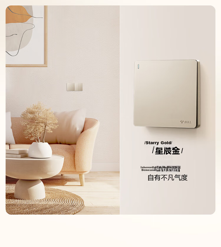 BULL Switch Socket G12 Series 2-Pin 10A 3-Pin 16A Panel 86 Type G12Z227S Cream Style Space Silver 9