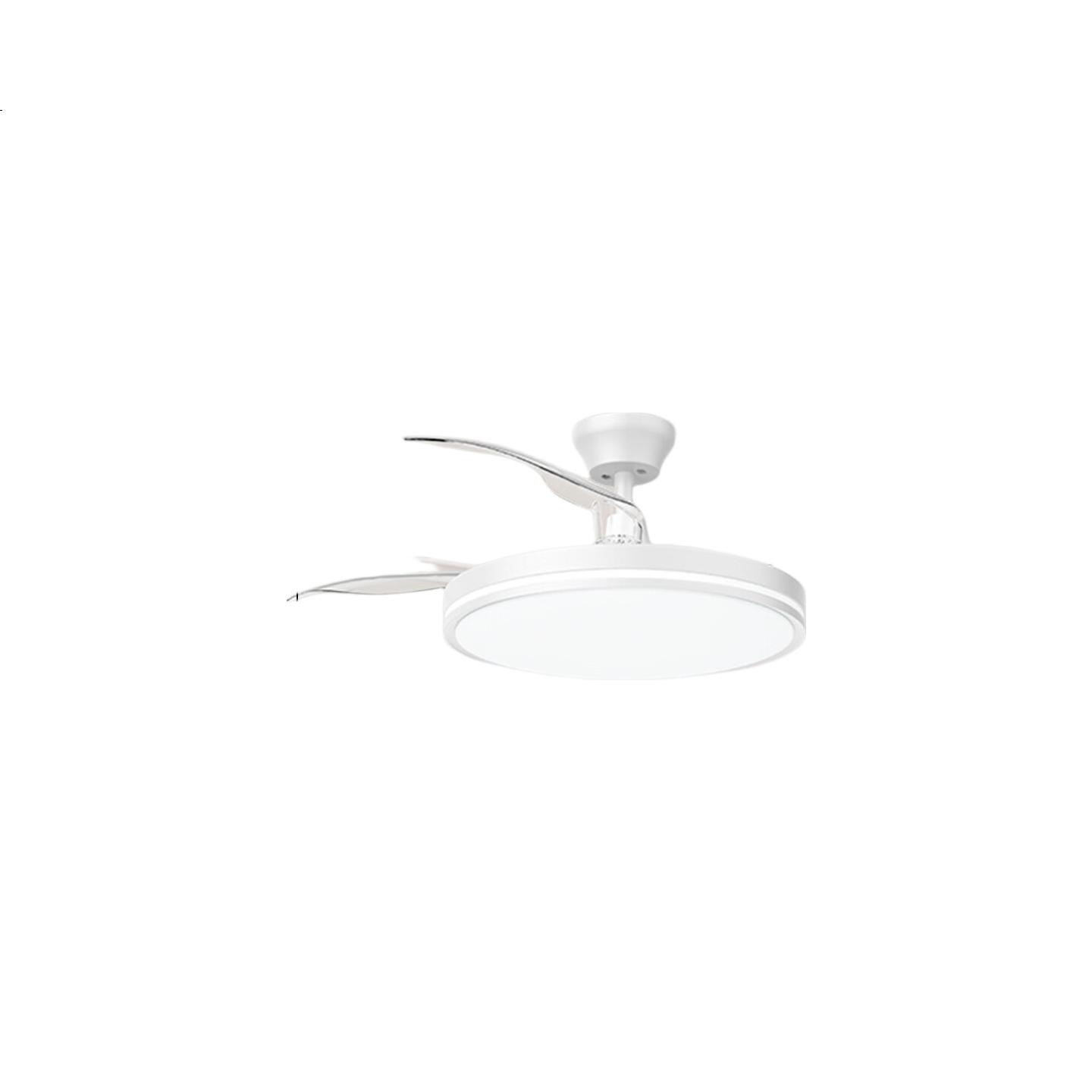 White Image 1