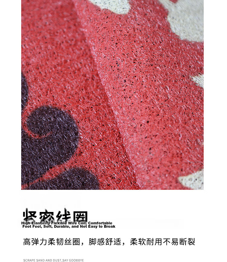 Bodisi Entrance Door Mat, Customizable Non-Slip Dust-Proof Easy-Clean Coir Doormat 120x80CM 9