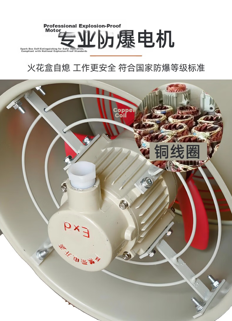 Ding Tong Feng Explosion-Proof Exhaust Fan Industrial Explosion-Proof Ventilator Flameproof Explosion-Proof Fan 220V BFAG-300 5