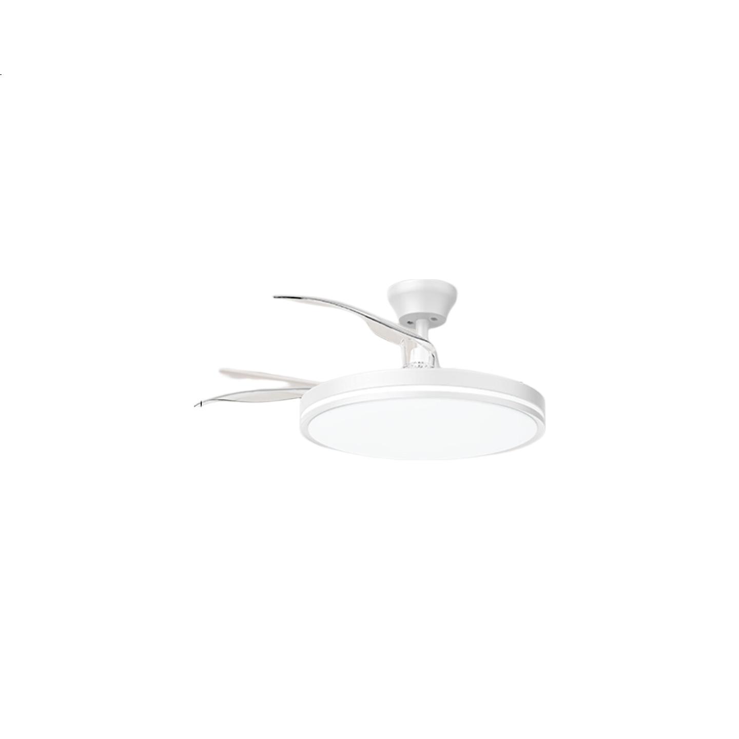 White Image 1