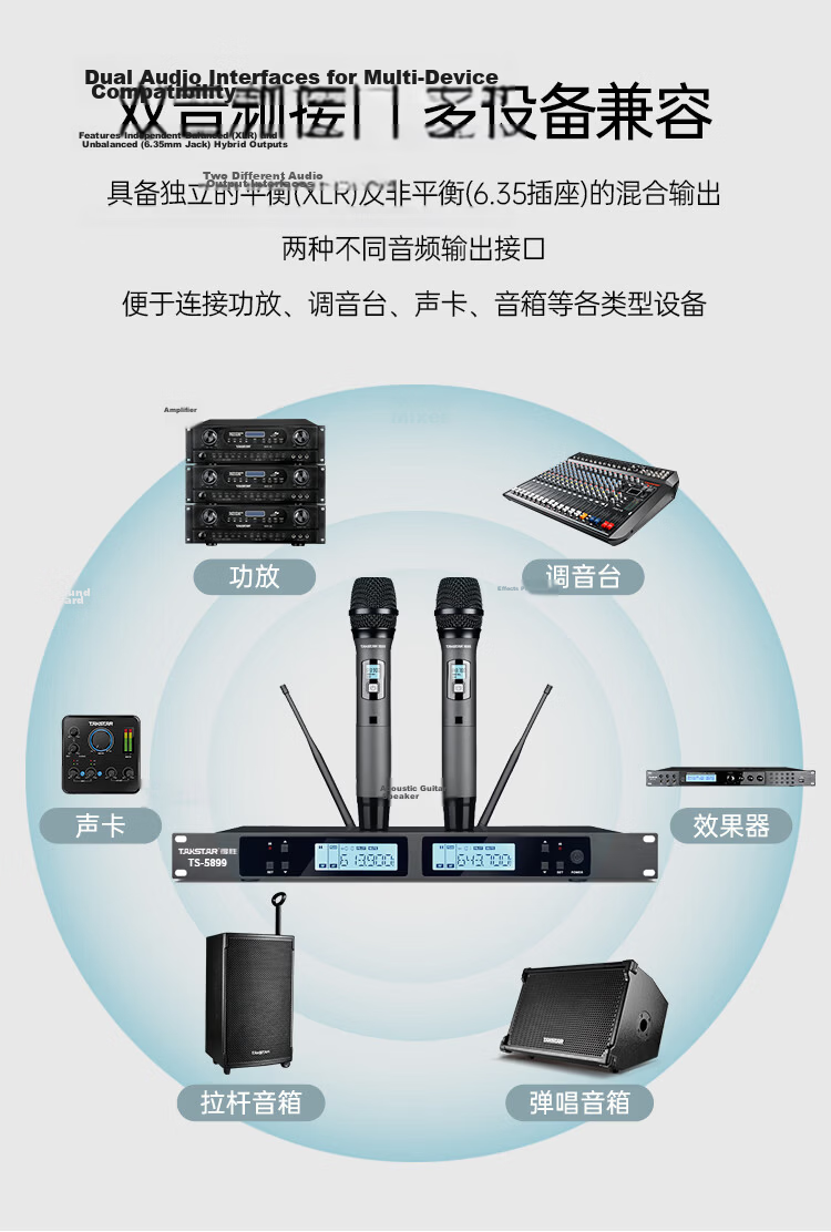 TAKSTAR TS-K301 Wireless One-to-One Microphone UHF Handheld Conference Microphone Plug and Play Long Battery Life Outdoor Singing Hosting Home KTV 8
