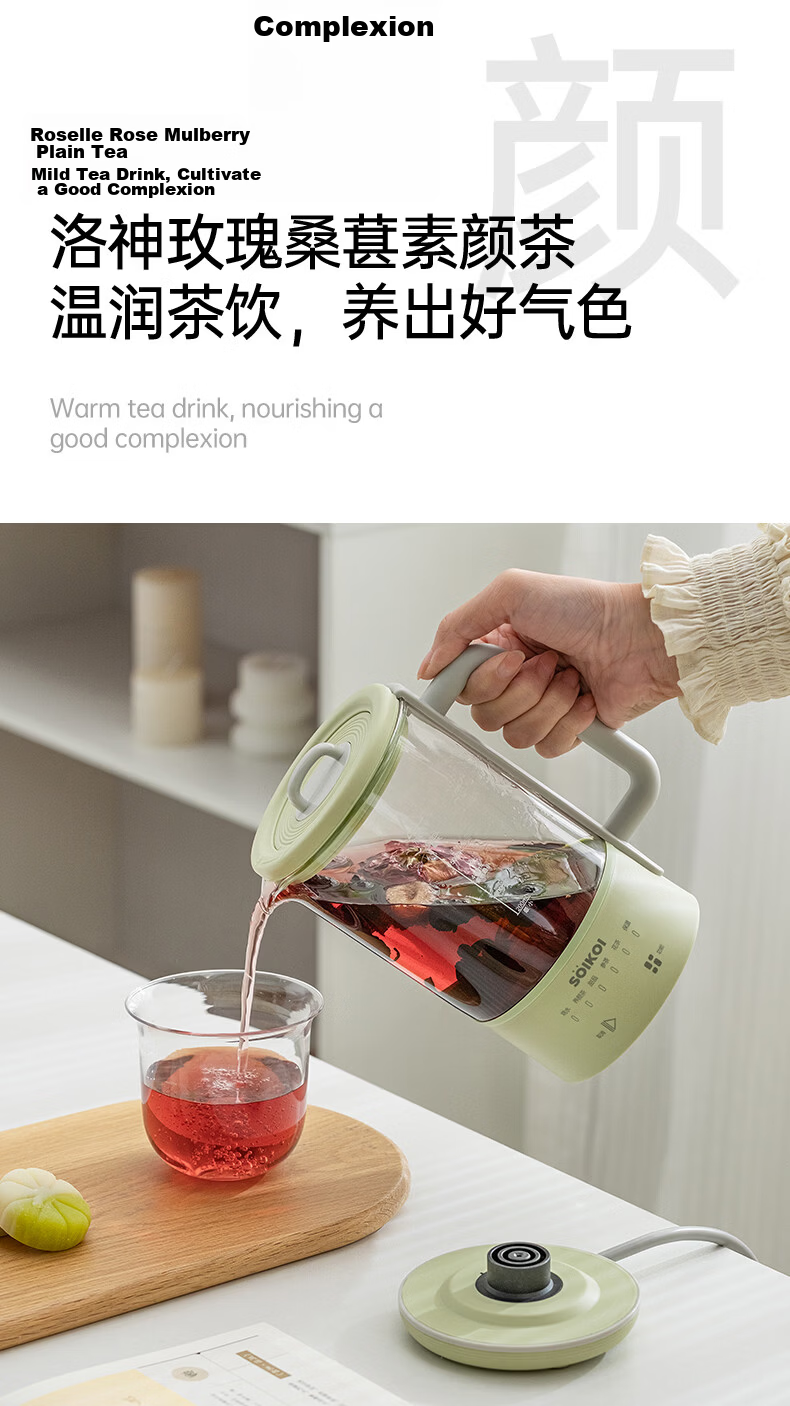 Sizaki Health Kettle Electric Water Kettle 0.6L Temperature Control Insulated Kettle Milk Warmer Smart Dry-Boil Protection Pure Titanium Tea Strainer L-YSB600C 6