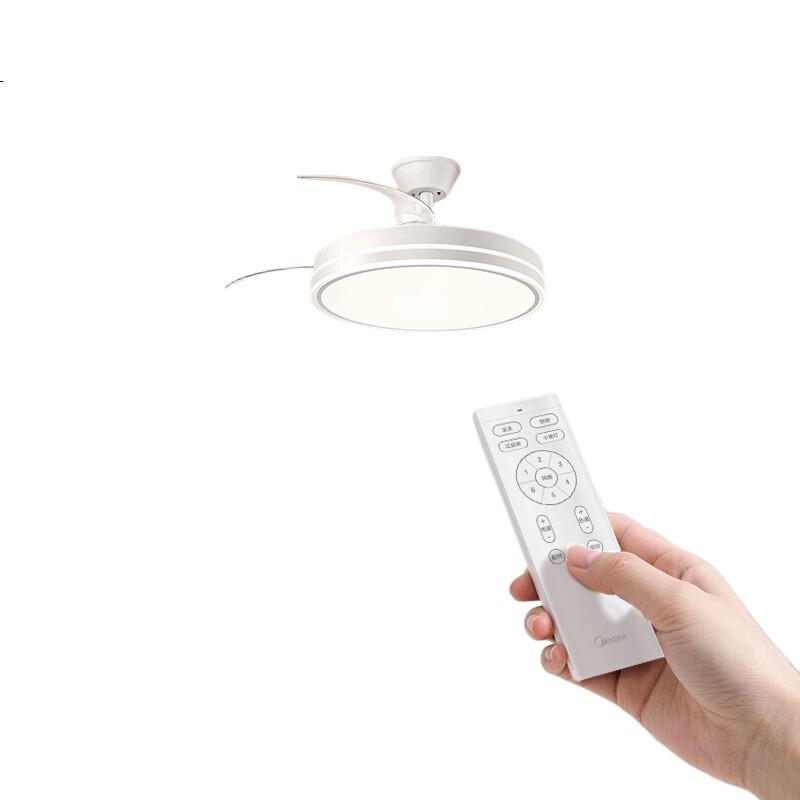 White Image 3