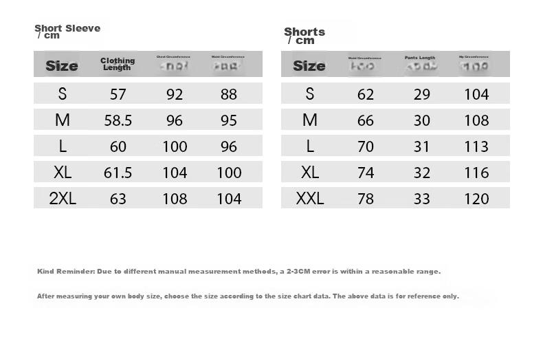 Baisirong Premium Summer Morning Running Sports Set for Women Short Sleeve Breathable Quick-Dry Badminton Slim Fitness Yoga Wear 4