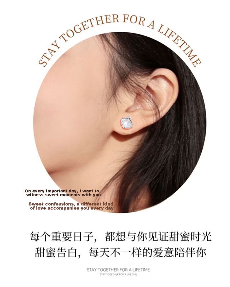 Dijing Weekly Stud Earrings Gift Box Qixi Valentine's Day Gift for Girlfriend Luxury 925 Silver Needle Earrings Silver Ear Rings 12