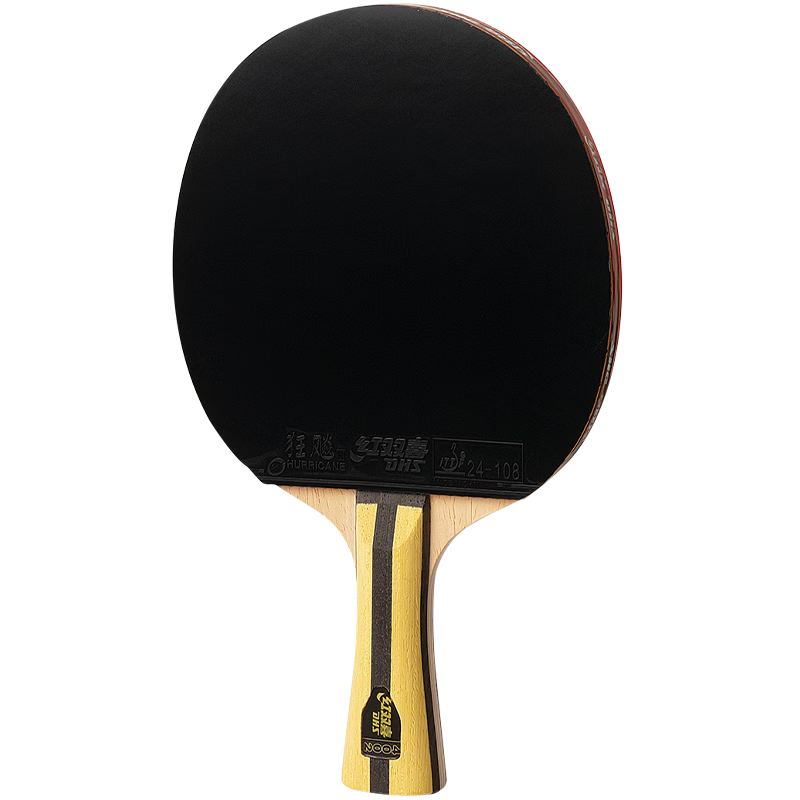 DHS Advanced Table Tennis Racket, Four-Star Penhold Grip H4002, Inverted Rubber, Single Racket with Paddle Case + Ping Pong Ball