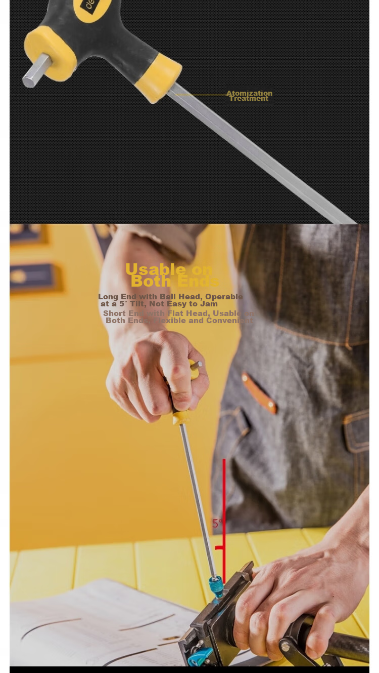 Deli Tool T-Handle Ball-End Hex Wrench 6mm DL2275 3