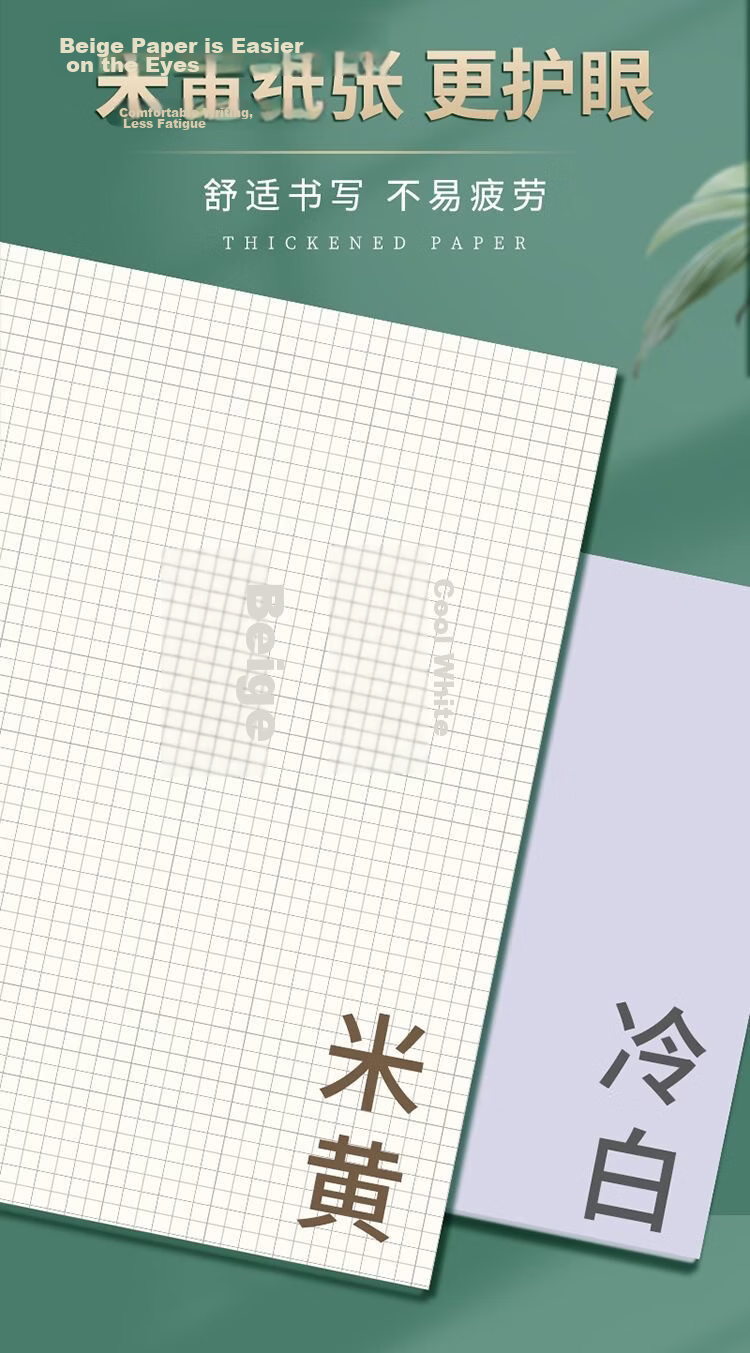 Wengu B5 Notebook Handwritten Loose-Leaf Book 40 Sheets Journal Diary for Middle School, High School, University Students, Detachable Office Business Meeting Supplies SK030-1 (B5) Lined Version 12