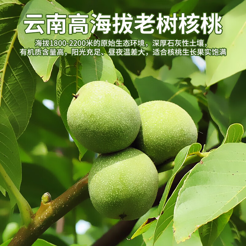 原尚工房云南有机生料核桃仁350g原味休闲零食每日坚果核桃无壳免剥