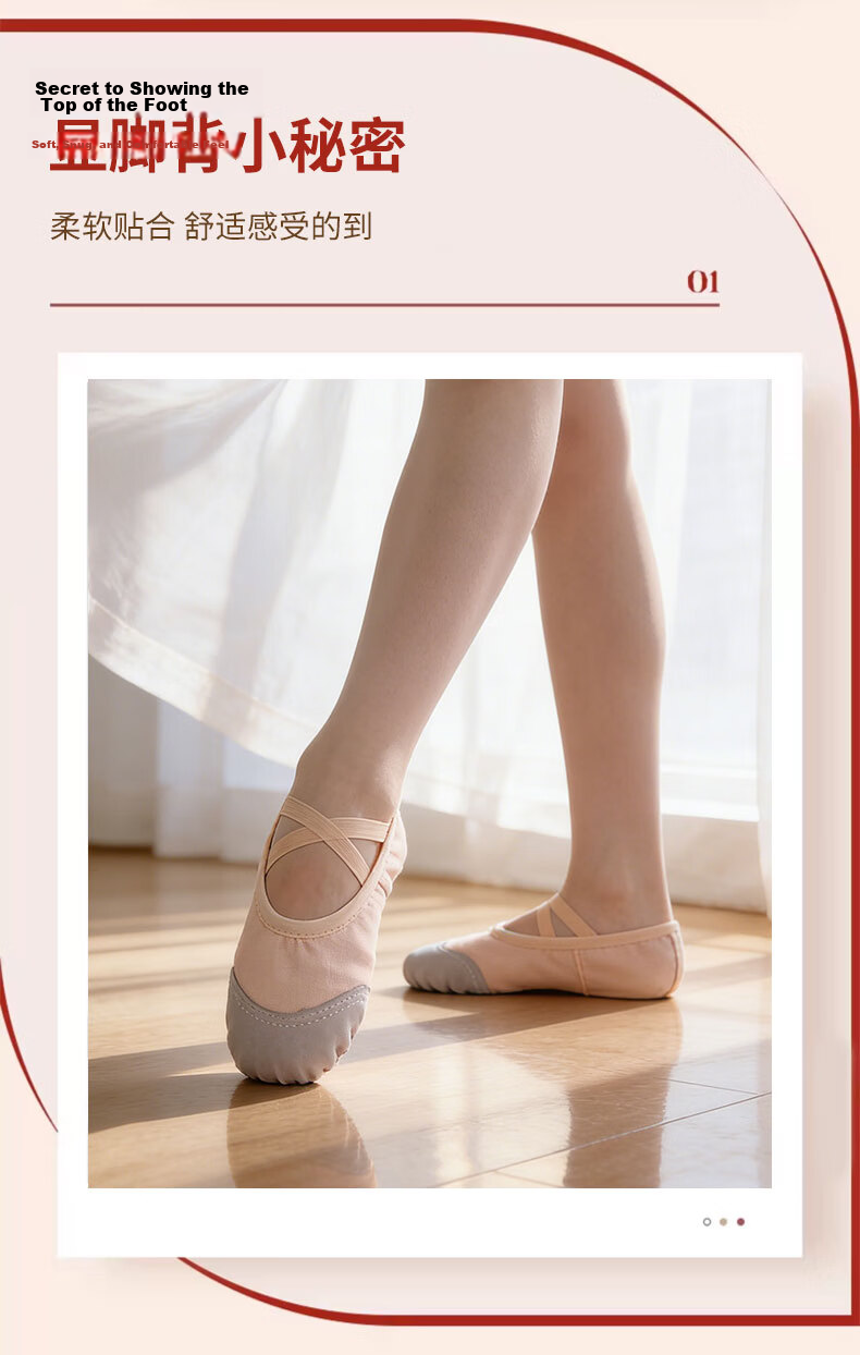 SooGree Dance Shoes Unisex Adult and Kids Slip-On Professional Soft Sole Ballet Performance Double-Layer Sole Practice Shoes 2