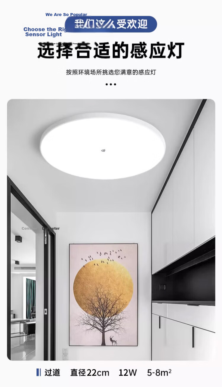 Biuyum Radar Sensor LED Ceiling Industrial Waterproof Light Engineering Stairway Corridor Ultra-thin Motion Sensor Smart Light 18W Diameter 30cm 17