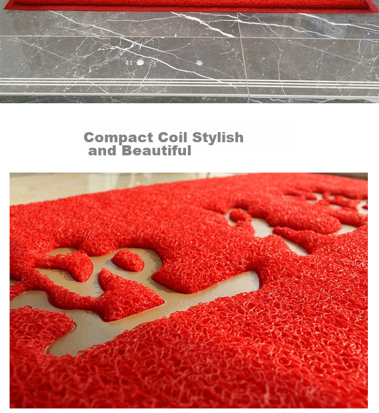 DIYIN Safe Entry And Exit Doormat Ingot 80*120cm, Entrance Floor Mat, Doorway Foot Mat, Silk Loop Welcome Non-Slip Mat 6