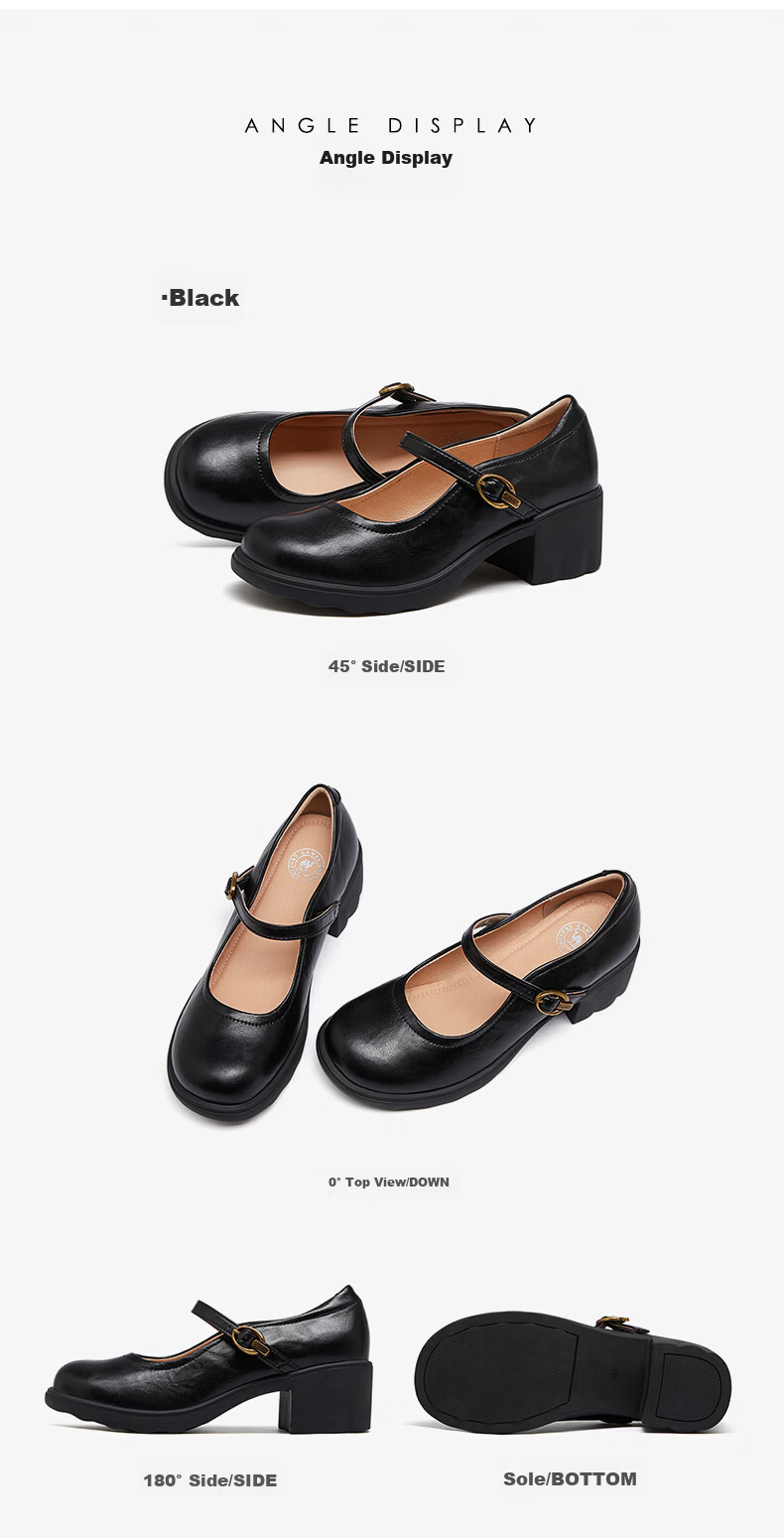 CAMEL Mary Jane Women's Casual Commuter Buckle Strap Chunky Heel Low-Cut Single Shoes L26S504057 Brown Size 40 18