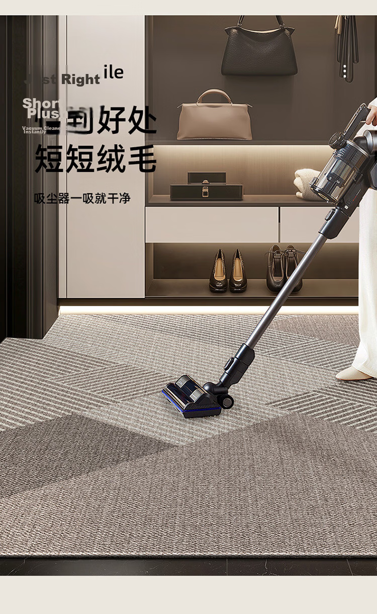 STIMANNI CITY·MANNI Modern Minimalist Entryway Door Mat Indoor Home Protective Dirt-Resistant Thickened Plush Carpet 8