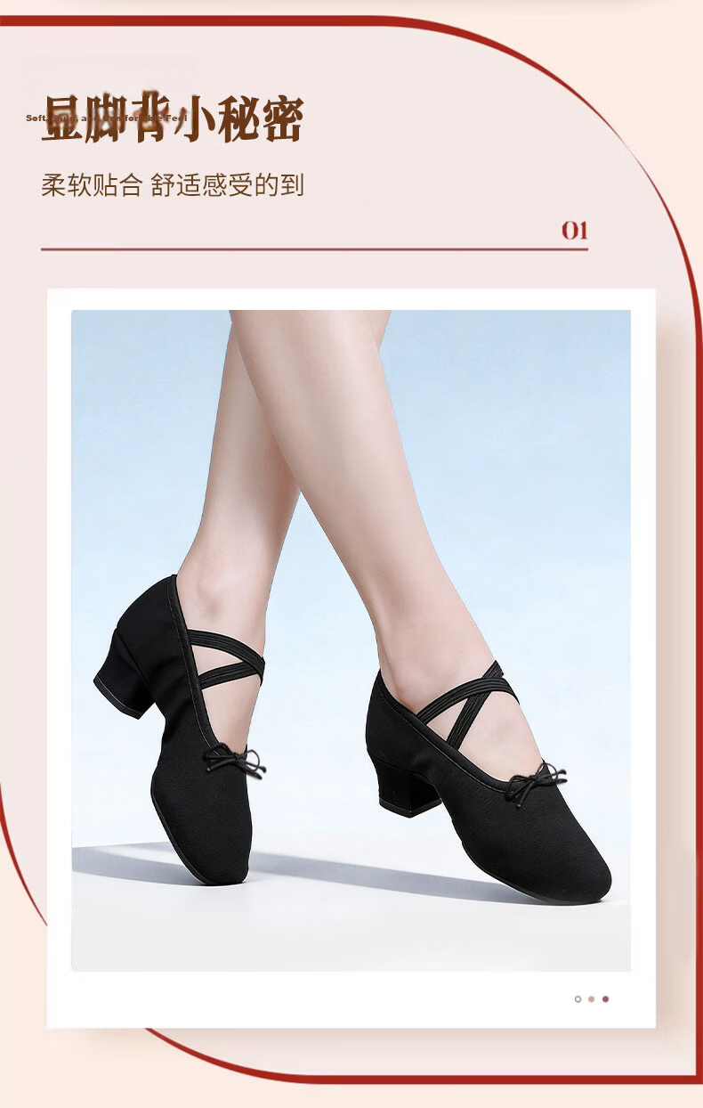 SooGree Dance Shoes with Soft Sole Canvas Teacher Shoes Belly Dance Shoes Posture Etiquette Training Shoes Adult Ballet Shoes 2