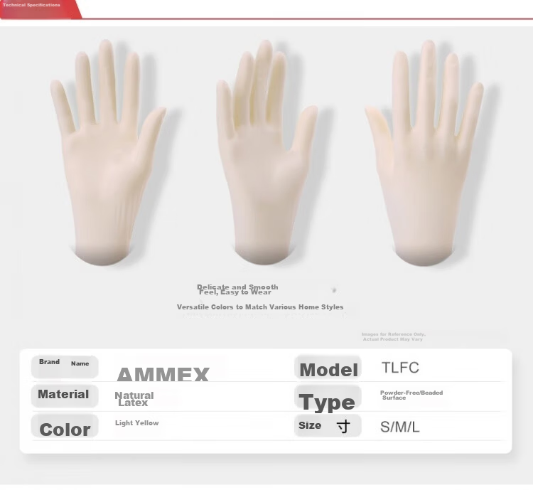 AMMEX Disposable Latex Gloves Powder-Free Large 100pcs/Box TLFC46100 2