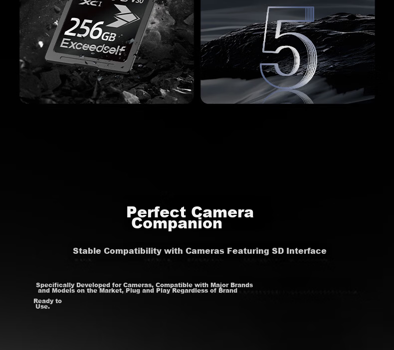 Huacun SD Card 2GB Student CCD Camera Memory Card Compatible with Canon Sony Fuji Nikon Panasonic Leica Camcorder Storage Card for Old Samsung Casio Instax 5