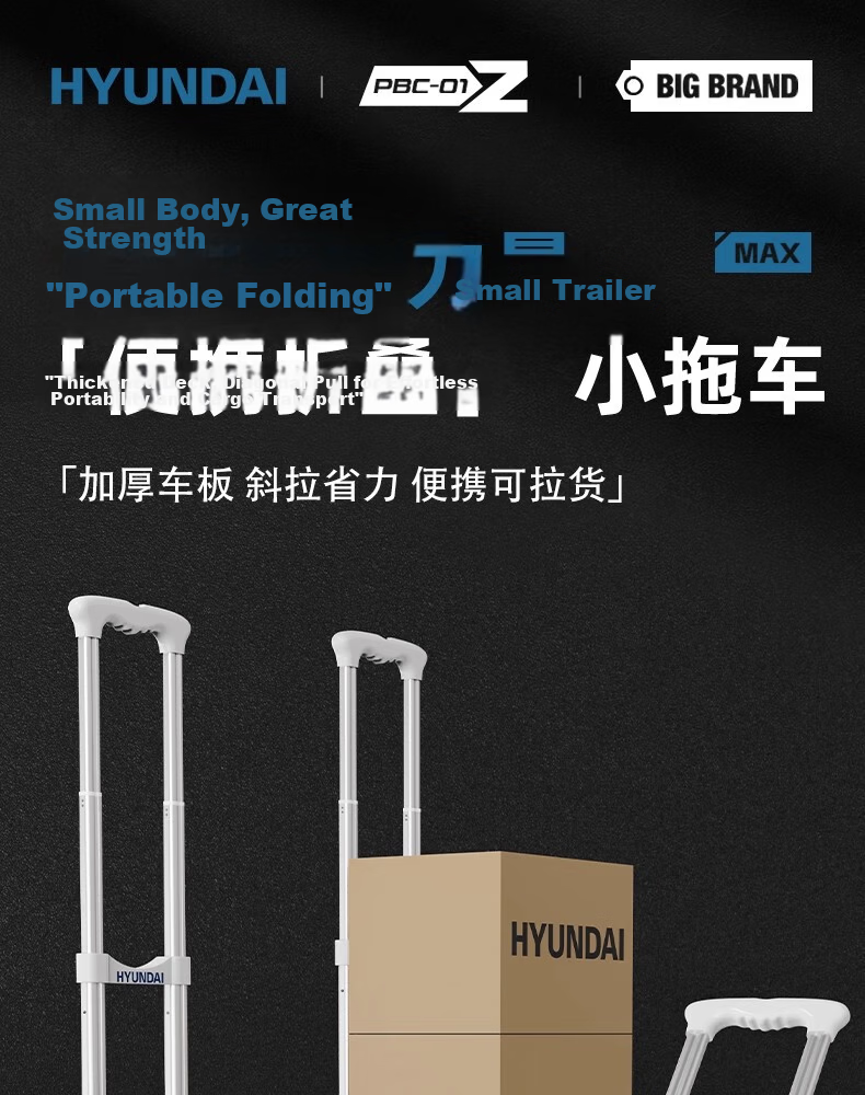 HYUNDAI Portable Folding Hand Cart Trolley Shopping Cart Grocery Cart Mini Household Cargo Transport Package Delivery Cart 4