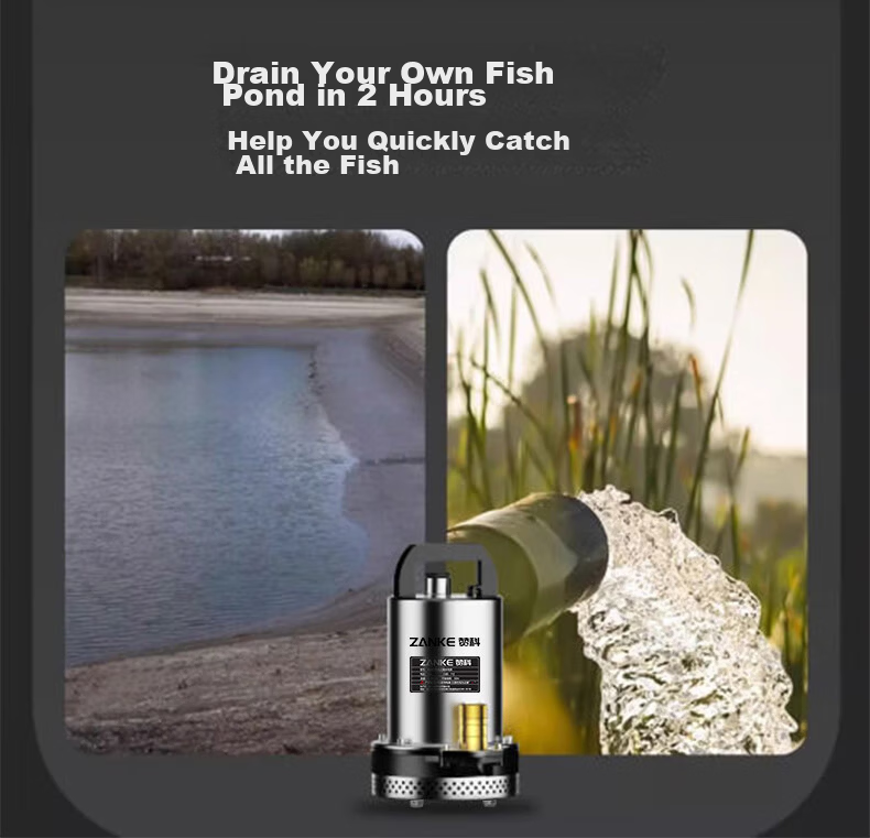 Zanco DC Submersible Pump Agricultural and Household Watering Device Electric Vehicle Water Pump High Lift 24V 1 Inch 12