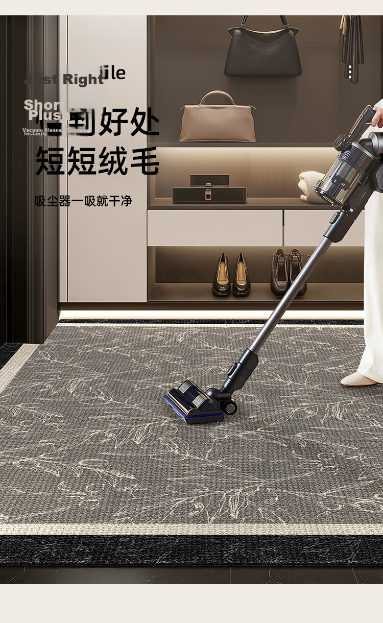 STIMANNI CITY·MANNI Modern Luxury Non-Slip Doorstep Mat Thickened Loop Pile Entrance Rug for Entryway and Shoe Changing Area 8