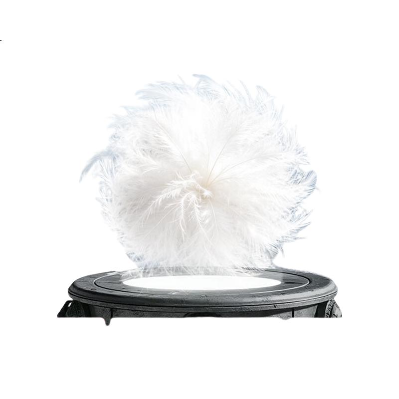 White Image 2