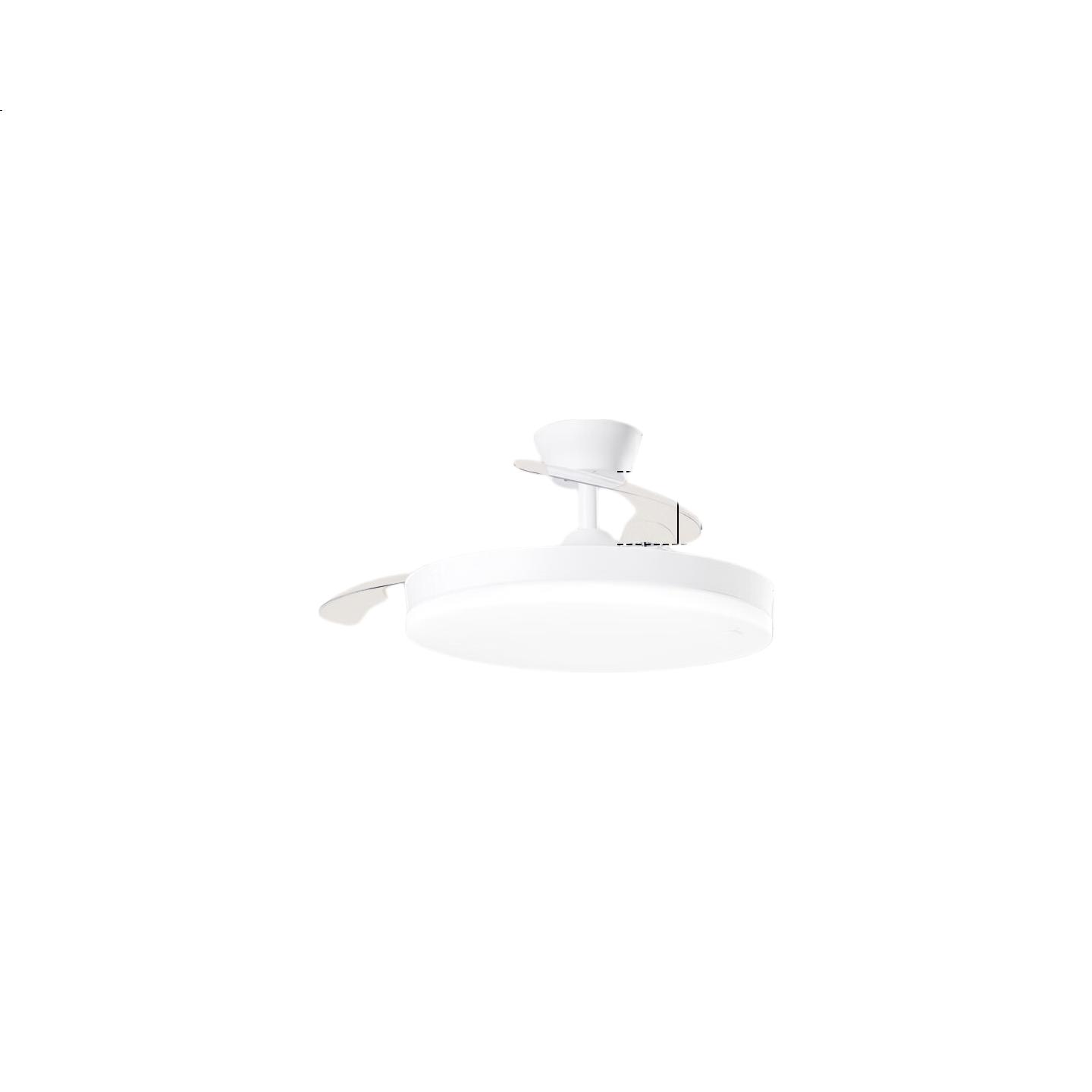 White Image 3
