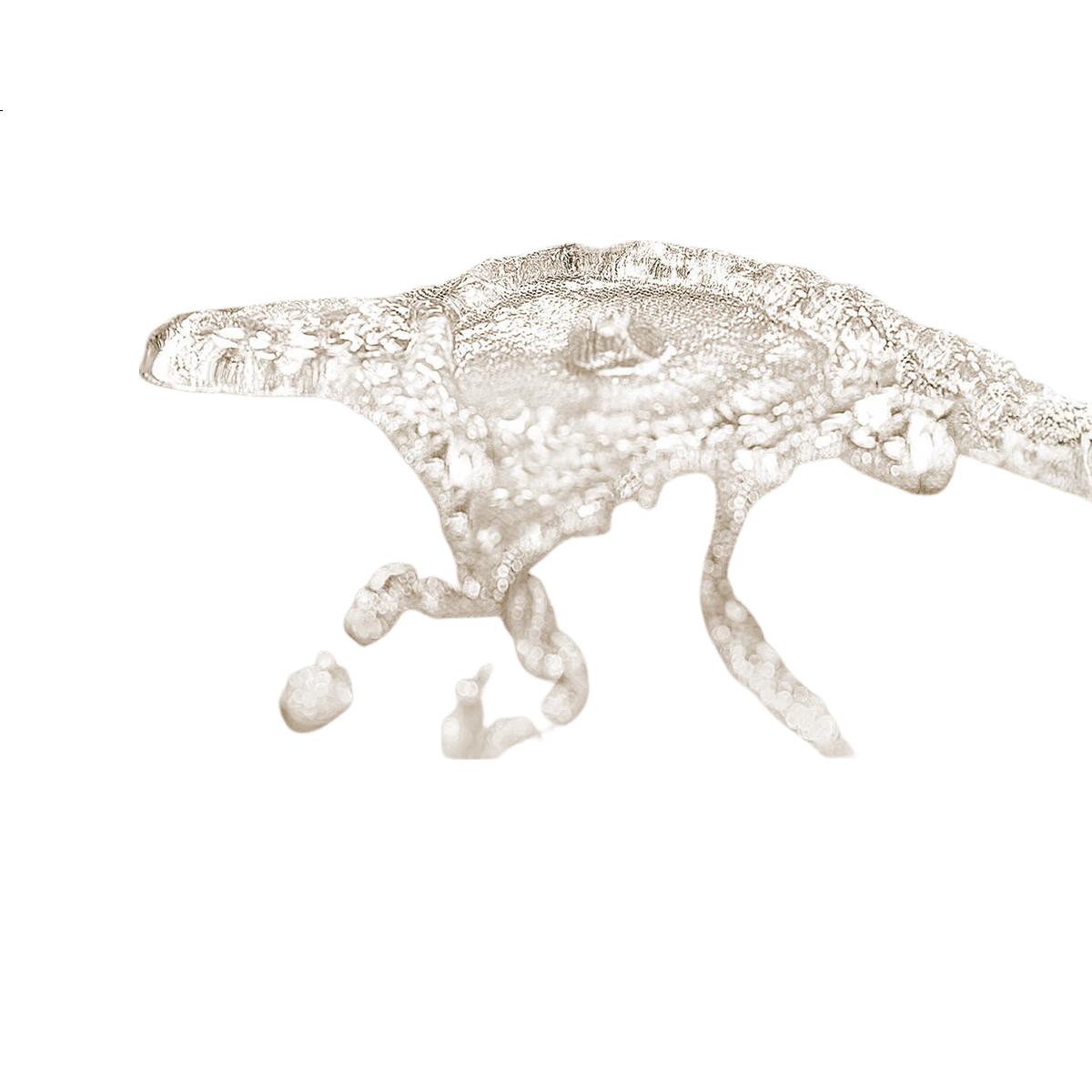 White Image 2