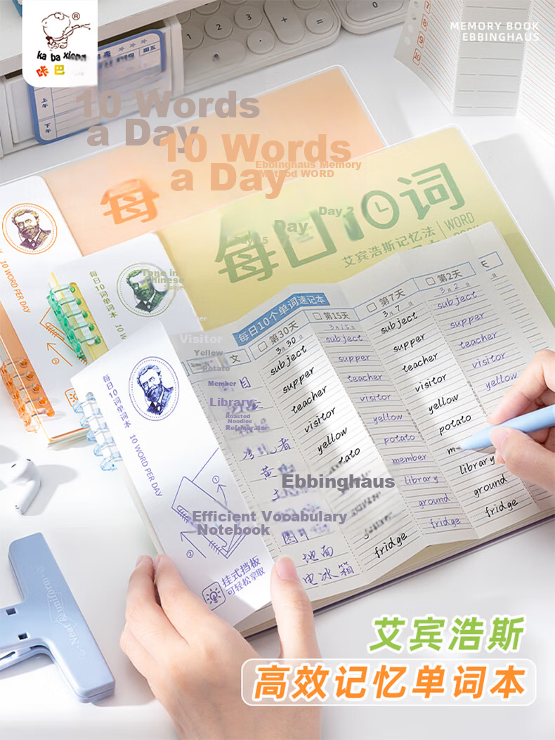 Kaba Bear Daily Ten Words Vocabulary Notebook 60 Pages Efficient English Word Memorization Foldable Refillable Thick Beige Paper with Divider Student Gradient Green 1