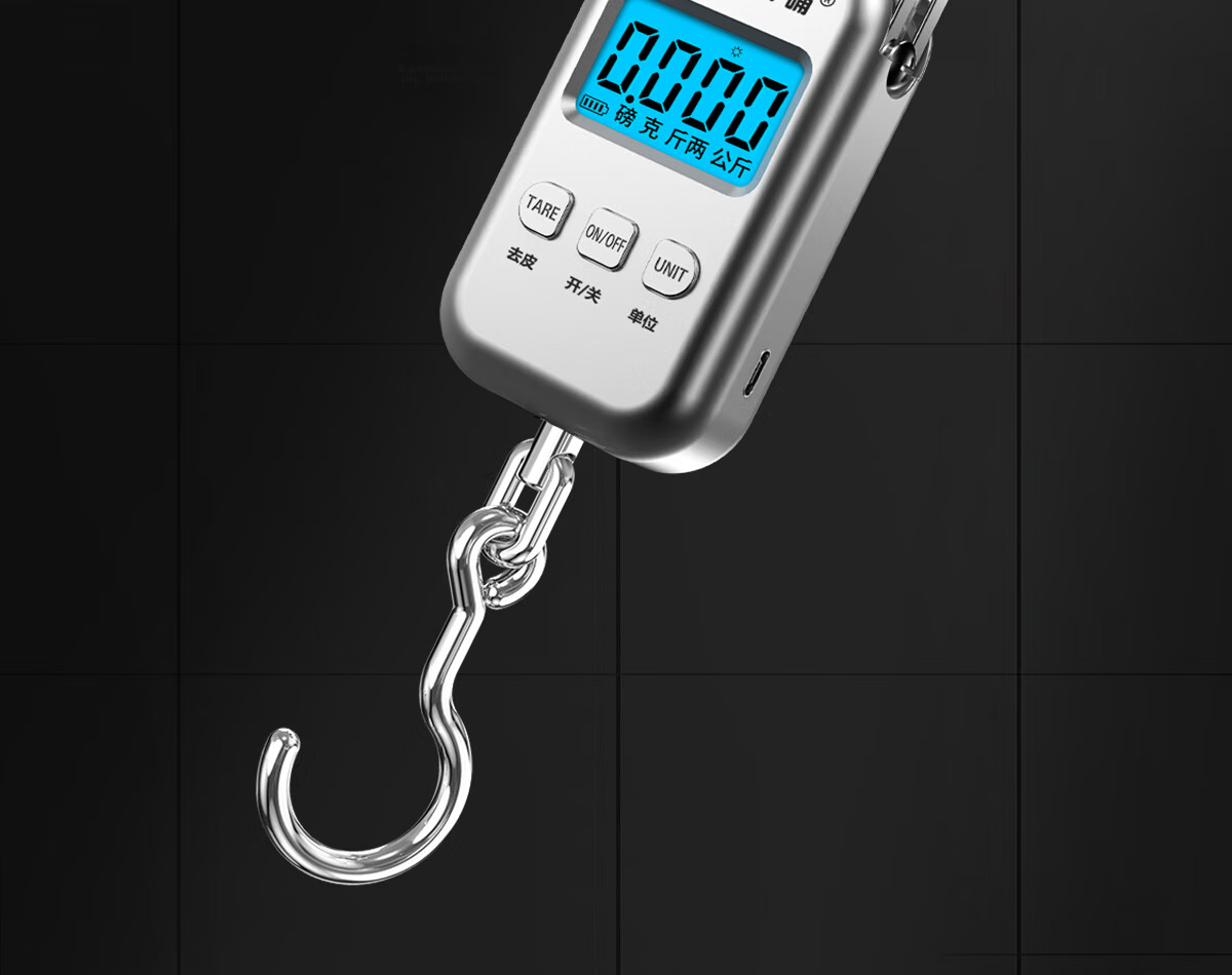 Qianque Portable Electronic Scale 100 Jin Precision Commercial Home Food Weighing Portable Spring Scale Fish Scale Kitchen Rechargeable 3