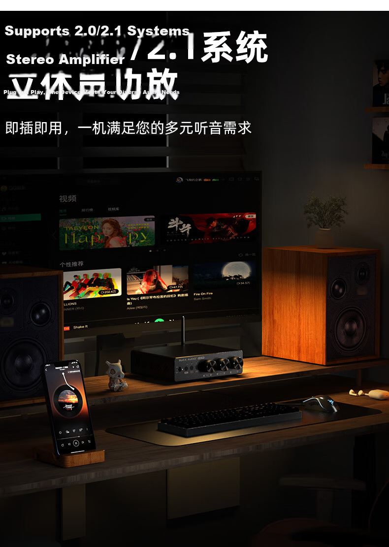 SUCA AUDIO Shengyouchuang 99E PRO High Power Bluetooth 5.2 Digital USB Lossless Playback Compact Home Amplifier 4