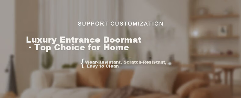 Luoyoute Entrance Door Mat Villa Door Mat Elastic Mesh High-End Non-Slip Dirt-Resistant Wash-Free Door Carpet 3