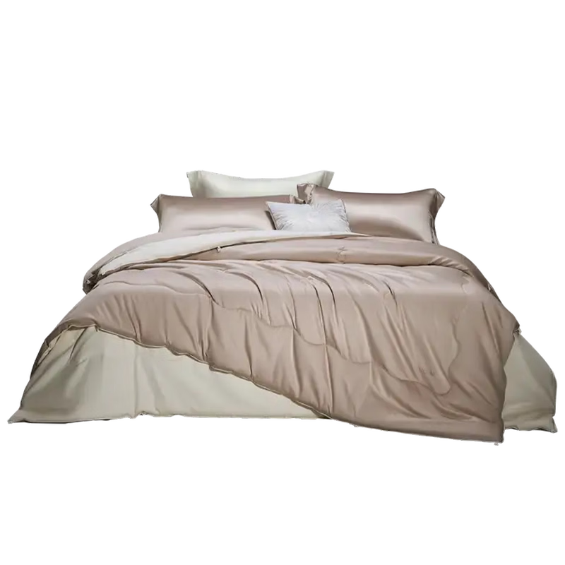 Luolai Home Textiles 100% Mulberry Silk Quilt A-Class 60s Cotton Spring and Autumn Quilt All-Season 220x250cm Approx. 6.3 Jin
