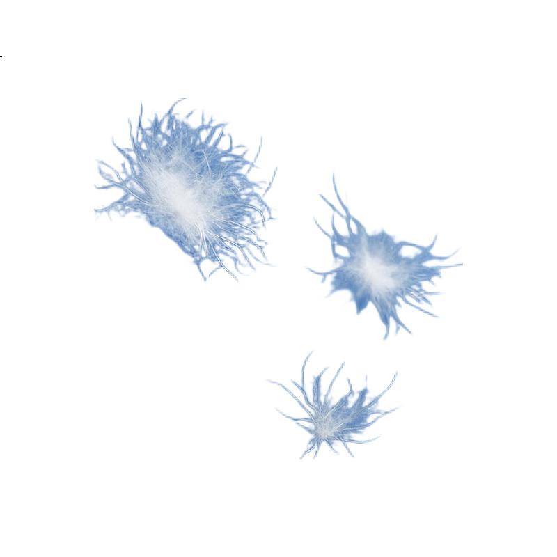 White Image 3
