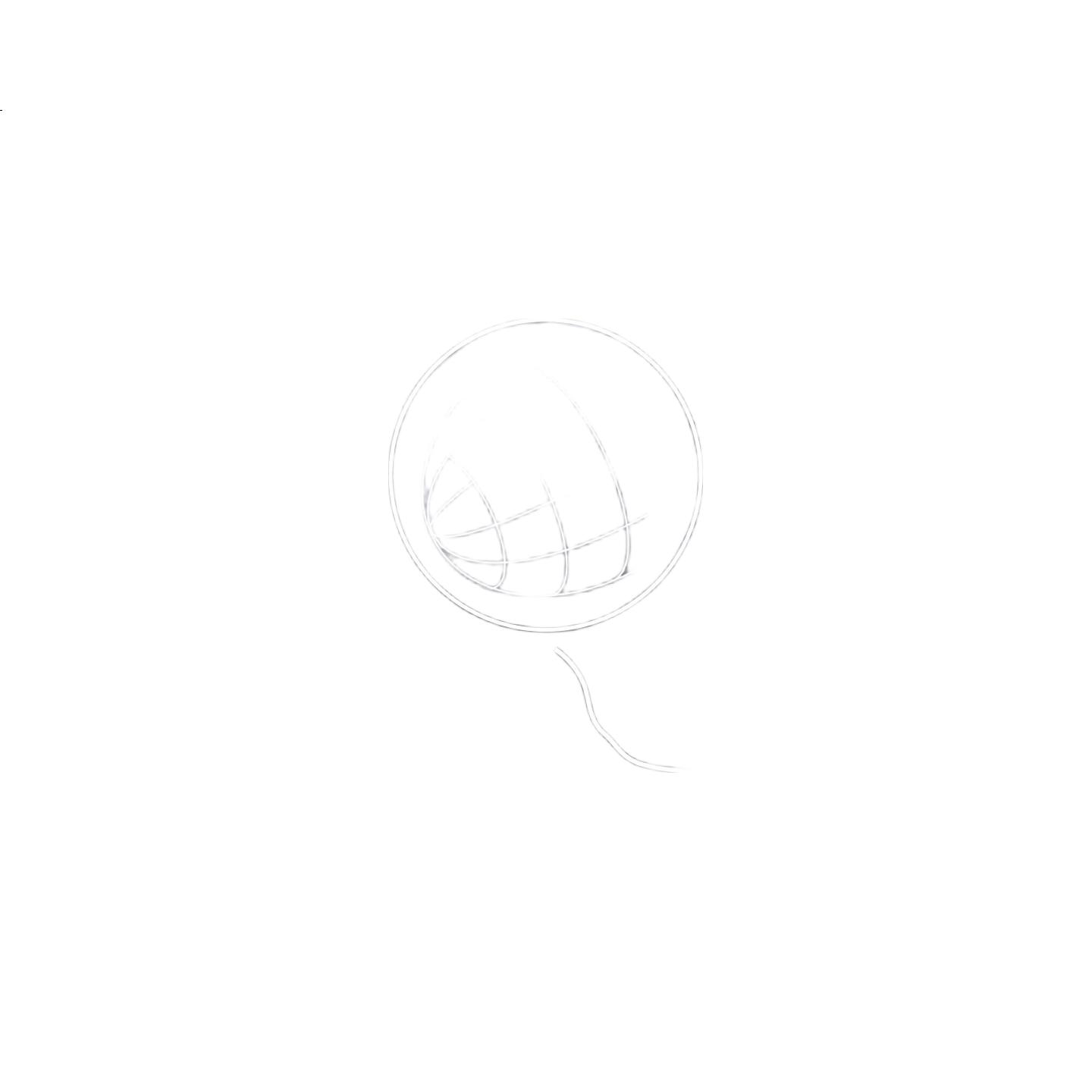 White Image 2