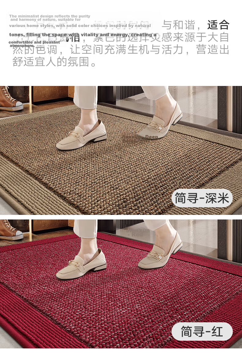 Dajiang Entrance Door Mat Floor Mat 2026 New High-End Carpet 60x90cm 4