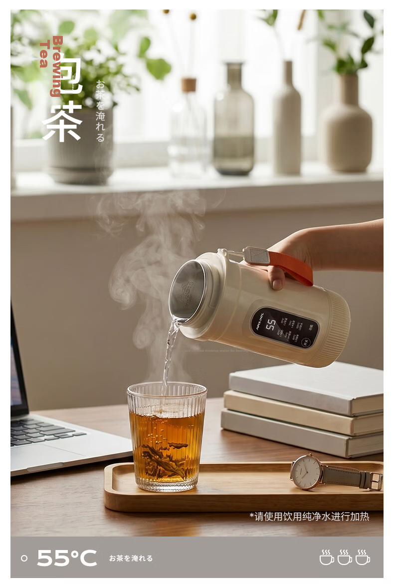 APIXINTL Japan Anben Su Portable Thermostatic Kettle Travel Electric Water Boiler 304 Inner Liner 22