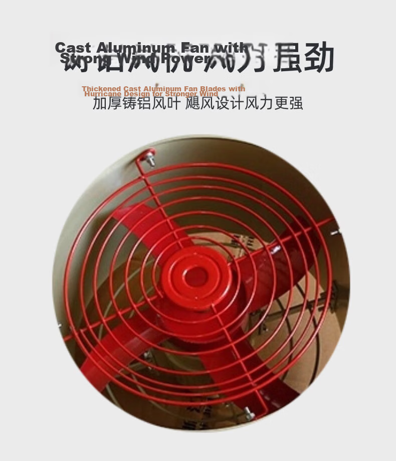 Ding Tong Feng Explosion-Proof Exhaust Fan Industrial Explosion-Proof Ventilator Flameproof Explosion-Proof Fan 220V BFAG-300 4