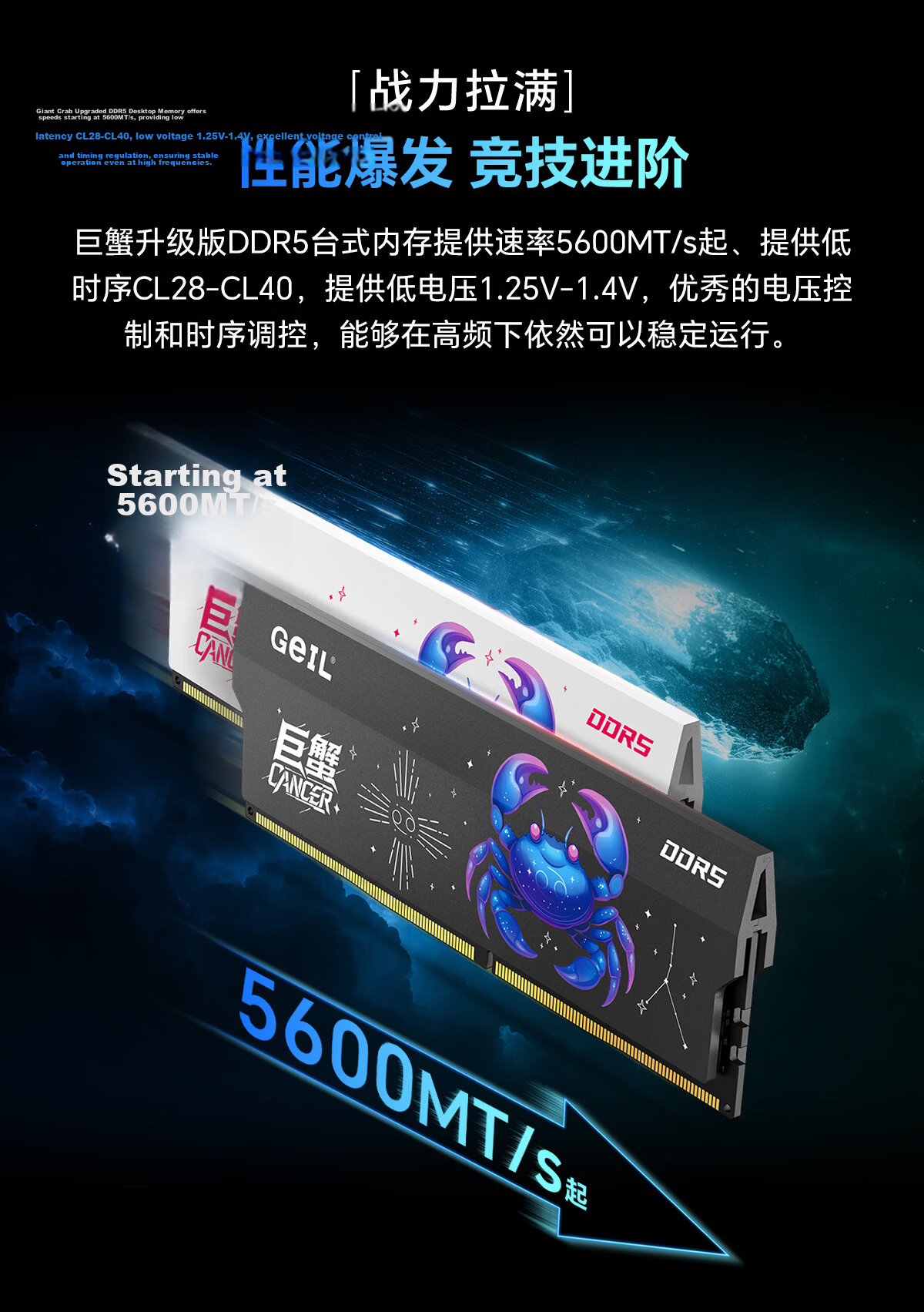 GEIL, 16GB DDR5 6000 Desktop Computer Memory Module, Crab Armor Series Black, Computer Storage Expansion Bar 6