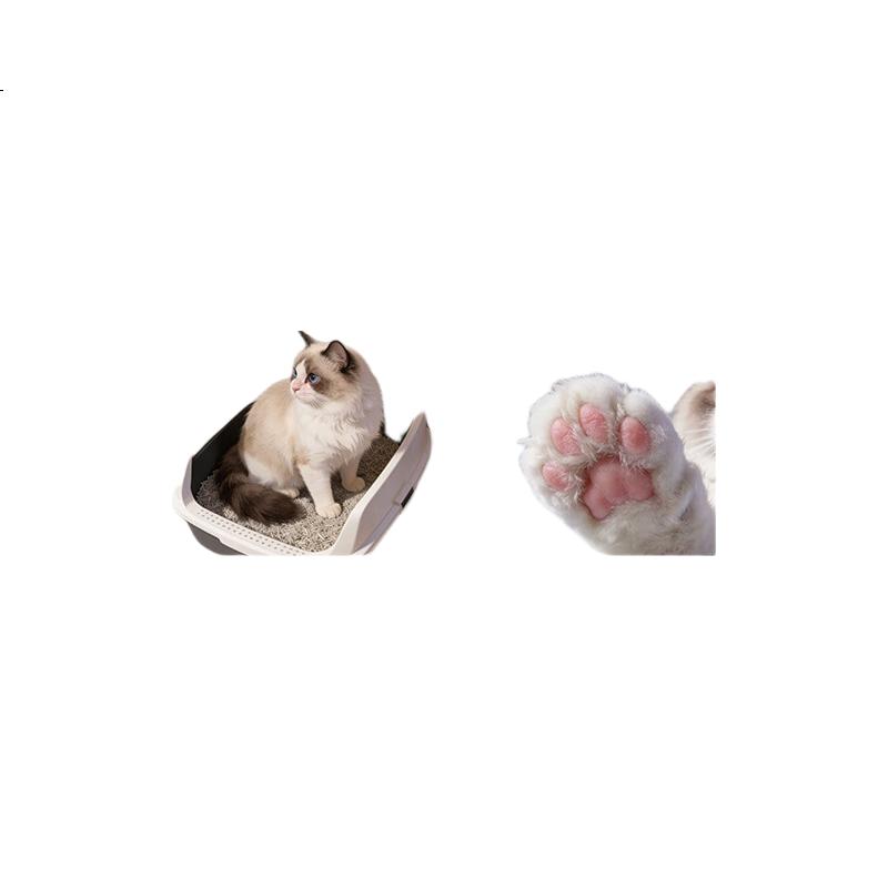 White Image 3