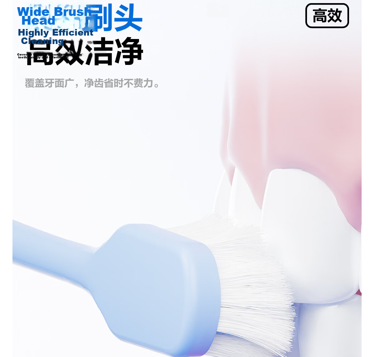 Canban Simple High-Density Soft Bristle Toothbrush, Wide Head, Thin Base, Gum Protection, Gentle on Gums, Cleans Thoroughly, 2 Pieces 6